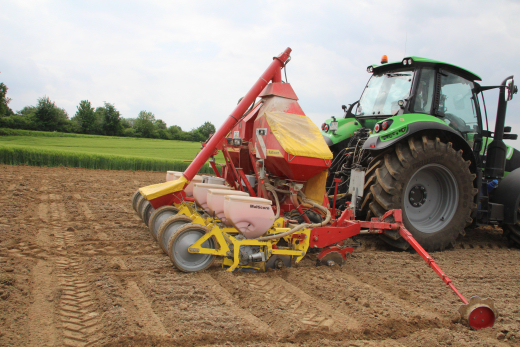 Traktor bei Aussaat